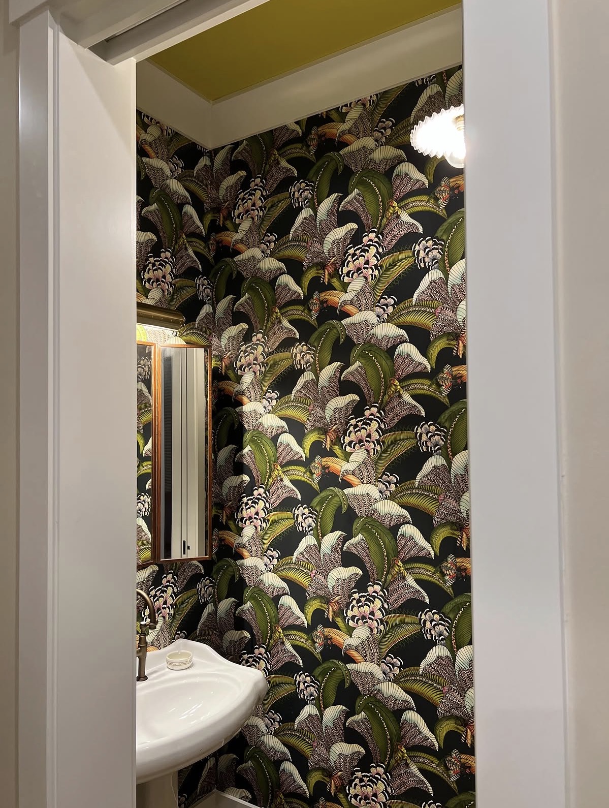 Dark tropical palm and butterfly wallpaper with chartreuse ceiling in a small powder room